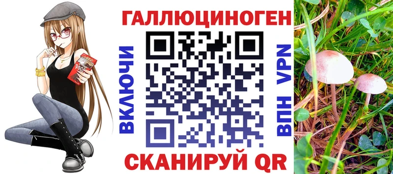 Псилоцибиновые грибы Psilocybe гидра онион Казань