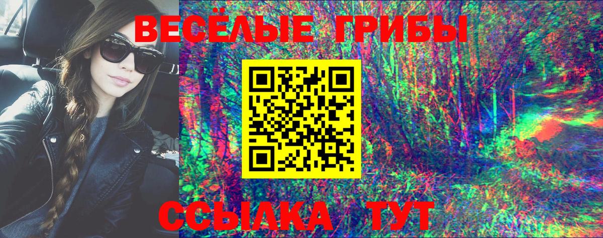 Казань  Псилоцибиновые грибы Magic Shrooms  Вход с VPN  Галлюциногенные грибы Psilocybine cubensis 